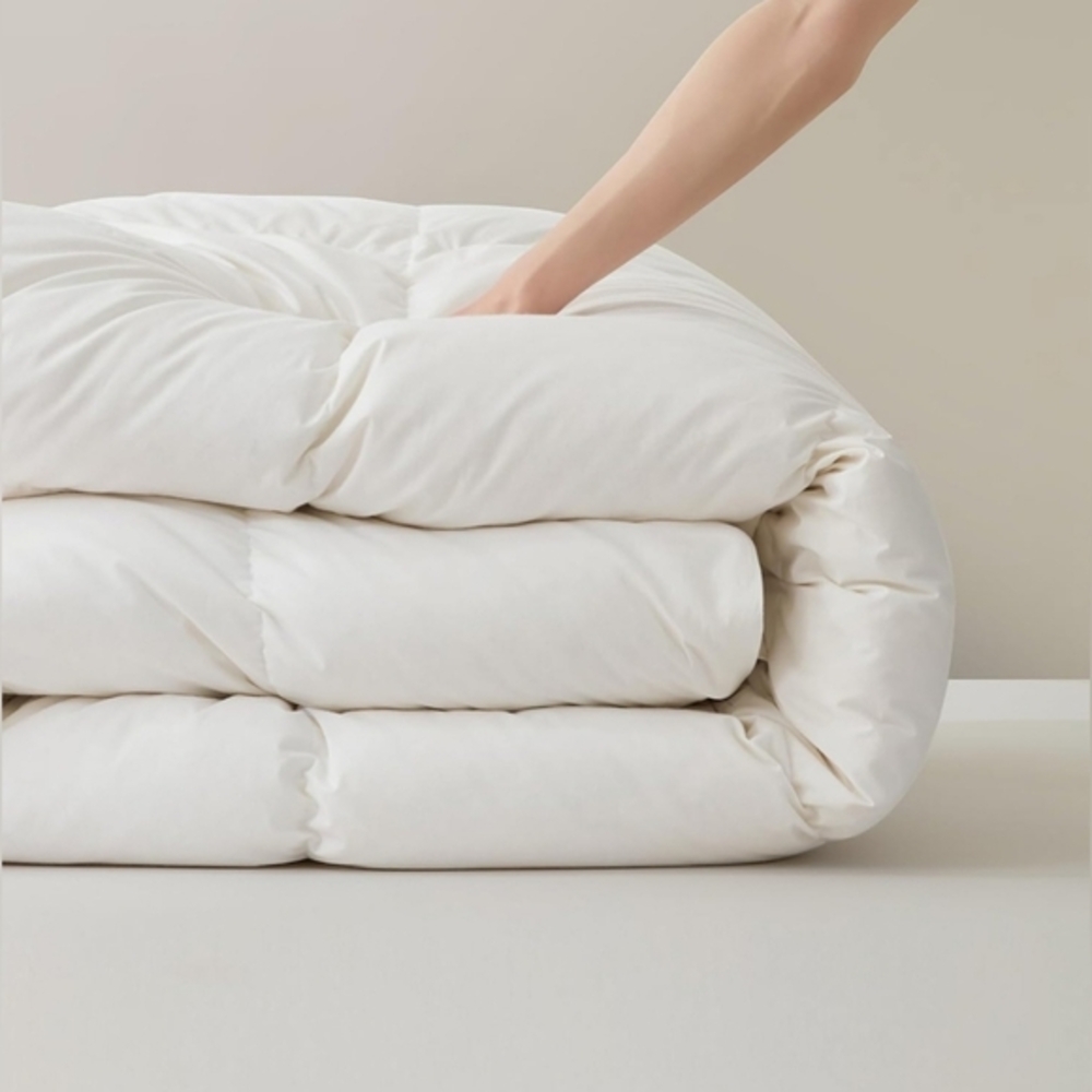NEW IN BOX: Comforter twin size white down duvet insert, filled w/feather & Down